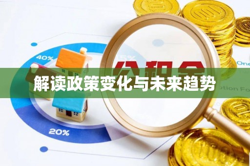 新干解读政策变化与未来趋势