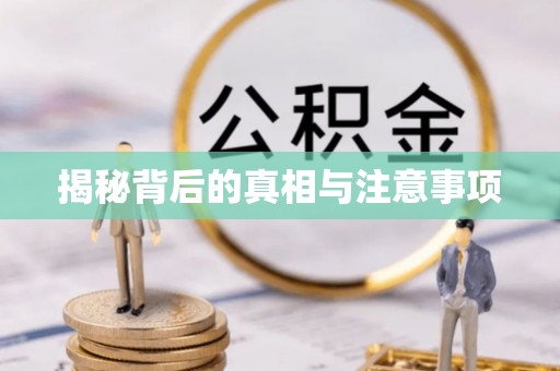 新干揭秘背后的真相与注意事项