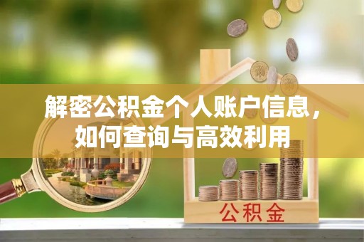 新干解密公积金个人账户信息，如何查询与高效利用