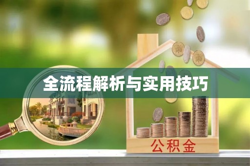 新干全流程解析与实用技巧
