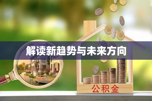 新干解读新趋势与未来方向