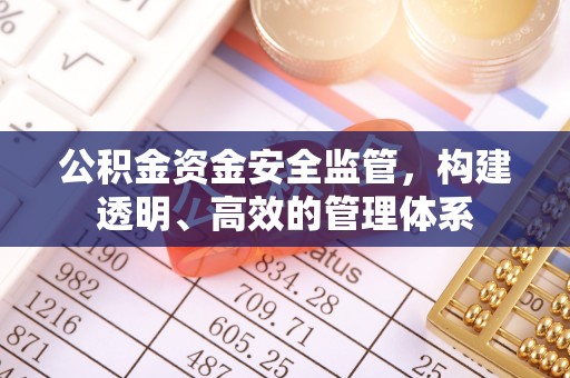 新干公积金资金安全监管，构建透明、高效的管理体系