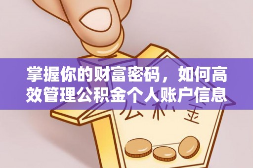 新干掌握你的财富密码，如何高效管理公积金个人账户信息