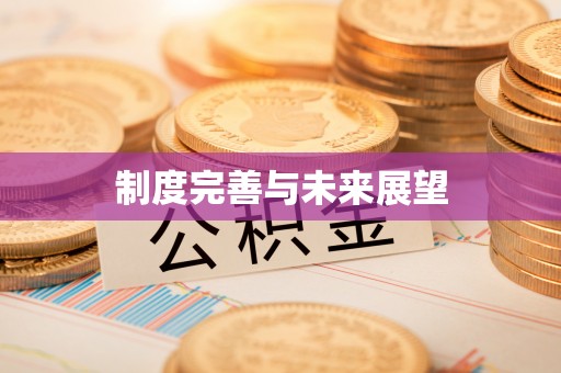 新干制度完善与未来展望