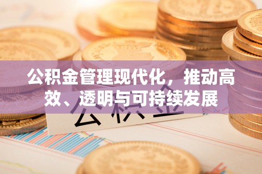 新干公积金管理现代化，推动高效、透明与可持续发展