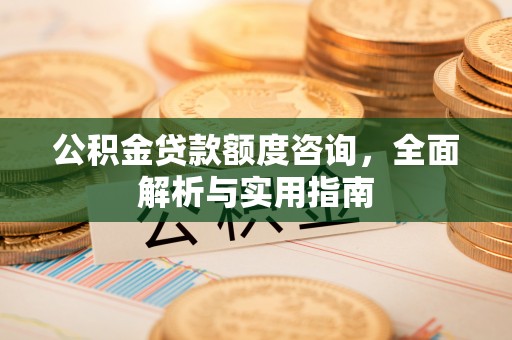 新干公积金贷款额度咨询，全面解析与实用指南