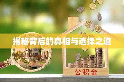 新干揭秘背后的真相与选择之道