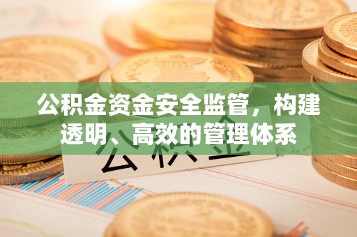 新干公积金资金安全监管，构建透明、高效的管理体系