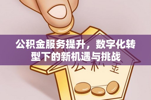 新干公积金服务提升，数字化转型下的新机遇与挑战