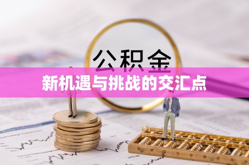 新干新机遇与挑战的交汇点