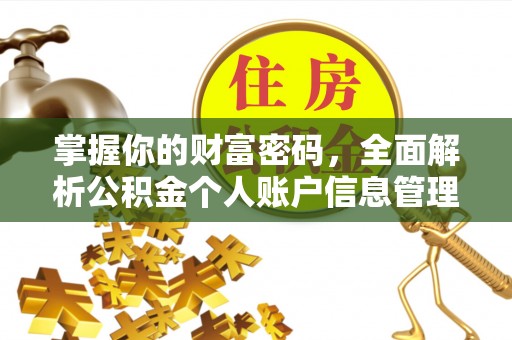 新干掌握你的财富密码，全面解析公积金个人账户信息管理与优化