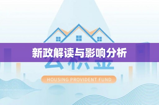 新干新政解读与影响分析