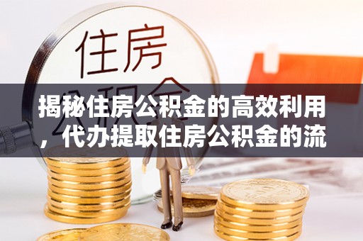 新干揭秘住房公积金的高效利用，代办提取住房公积金的流程与技巧