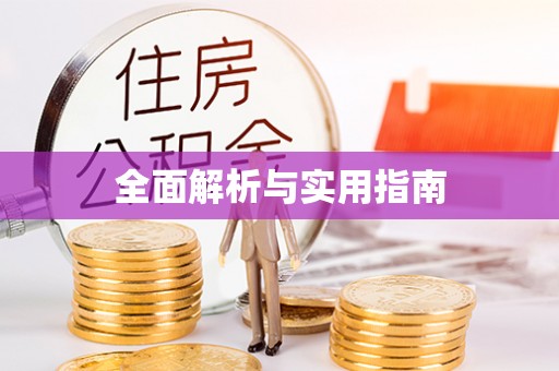 新干全面解析与实用指南