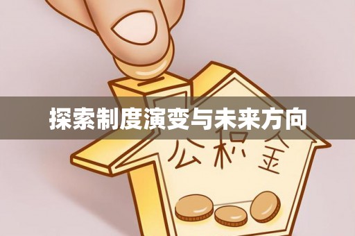 新干探索制度演变与未来方向
