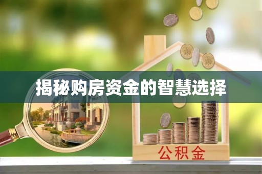 新干揭秘购房资金的智慧选择