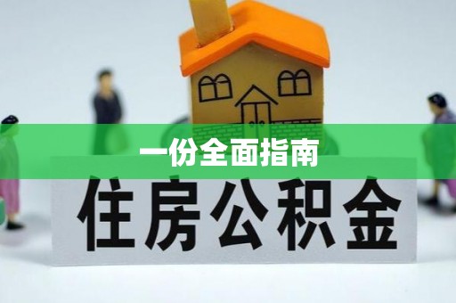 新干一份全面指南