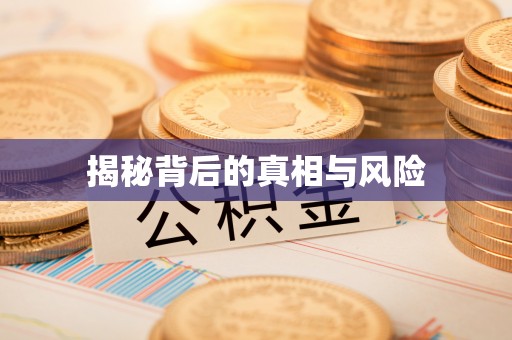 新干揭秘背后的真相与风险