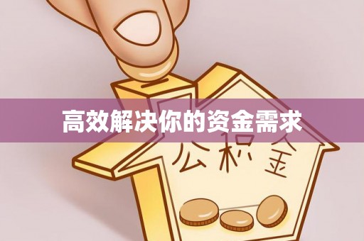 新干高效解决你的资金需求