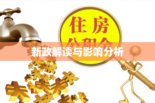 新干新政解读与影响分析