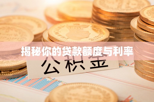 新干揭秘你的贷款额度与利率