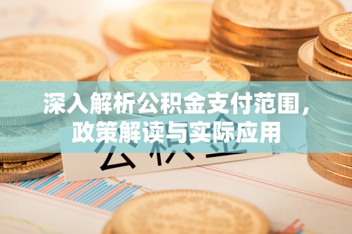 新干深入解析公积金支付范围，政策解读与实际应用