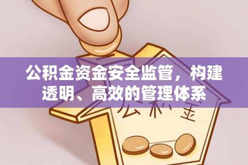 新干公积金资金安全监管，构建透明、高效的管理体系