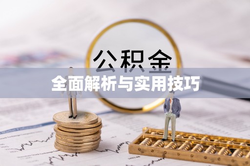 新干全面解析与实用技巧