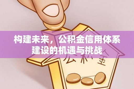 新干构建未来，公积金信用体系建设的机遇与挑战