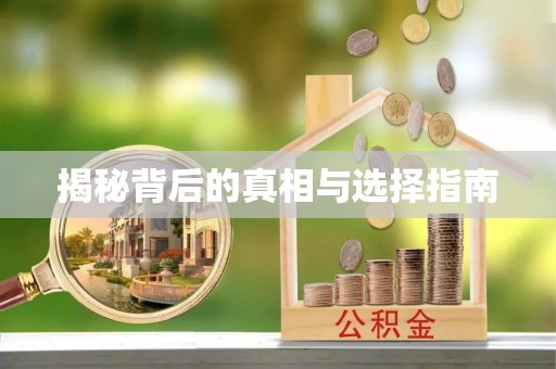 新干揭秘背后的真相与选择指南