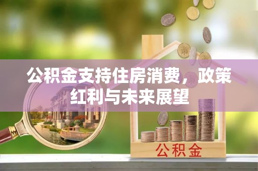 新干公积金支持住房消费，政策红利与未来展望