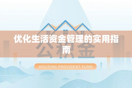 新干优化生活资金管理的实用指南