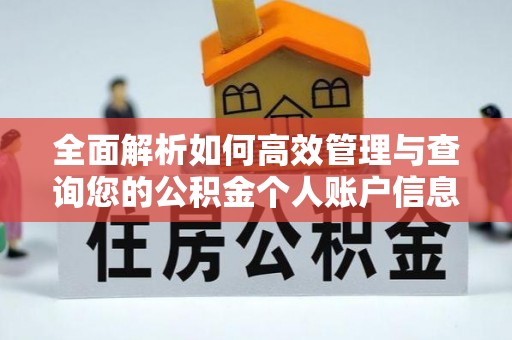 新干全面解析如何高效管理与查询您的公积金个人账户信息
