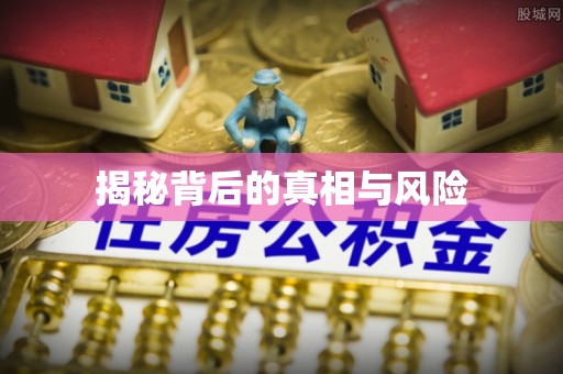 新干揭秘背后的真相与风险