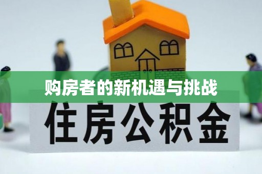 新干购房者的新机遇与挑战