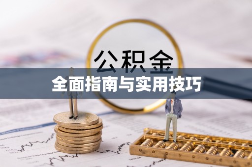 新干全面指南与实用技巧
