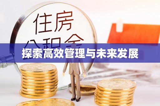 新干探索高效管理与未来发展