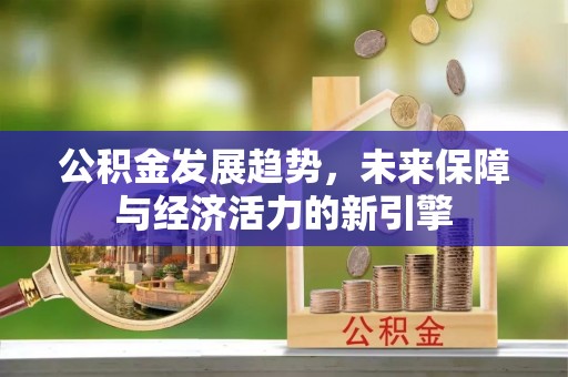 新干公积金发展趋势，未来保障与经济活力的新引擎