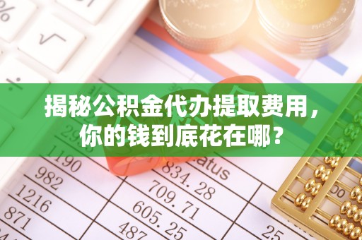 新干揭秘公积金代办提取费用，你的钱到底花在哪？