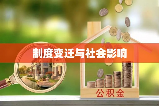 新干制度变迁与社会影响