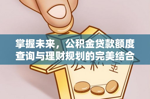 新干掌握未来，公积金贷款额度查询与理财规划的完美结合