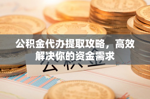 新干公积金代办提取攻略，高效解决你的资金需求