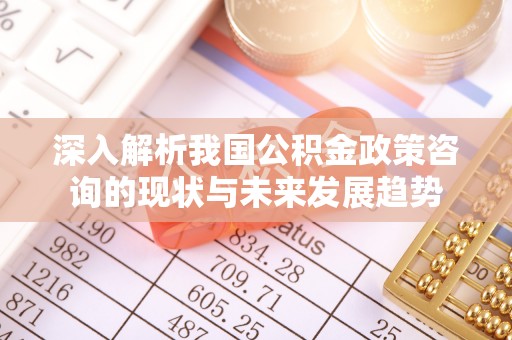 新干深入解析我国公积金政策咨询的现状与未来发展趋势