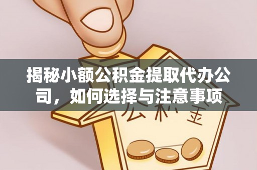 新干揭秘小额公积金提取代办公司，如何选择与注意事项