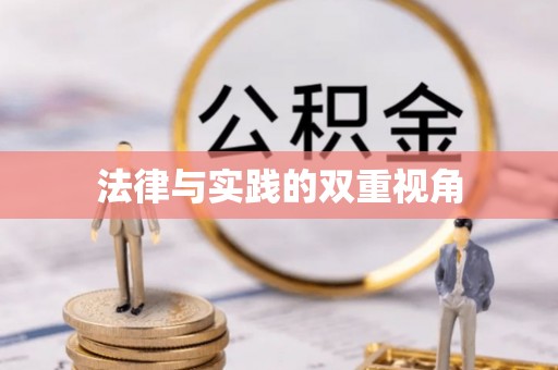 新干法律与实践的双重视角
