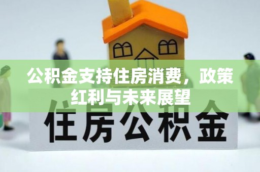 新干公积金支持住房消费，政策红利与未来展望