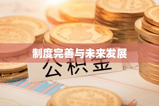 新干制度完善与未来发展