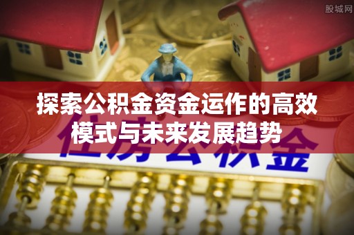 新干探索公积金资金运作的高效模式与未来发展趋势