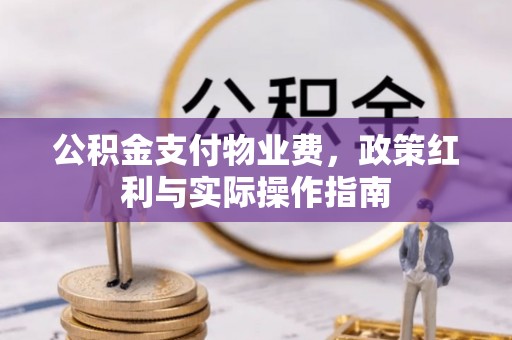 新干公积金支付物业费，政策红利与实际操作指南