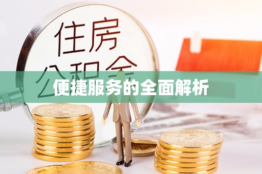 新干便捷服务的全面解析
